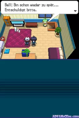 Image n° 3 - screenshots : Pokemon - Weisse Edition (DSi Enhanced)